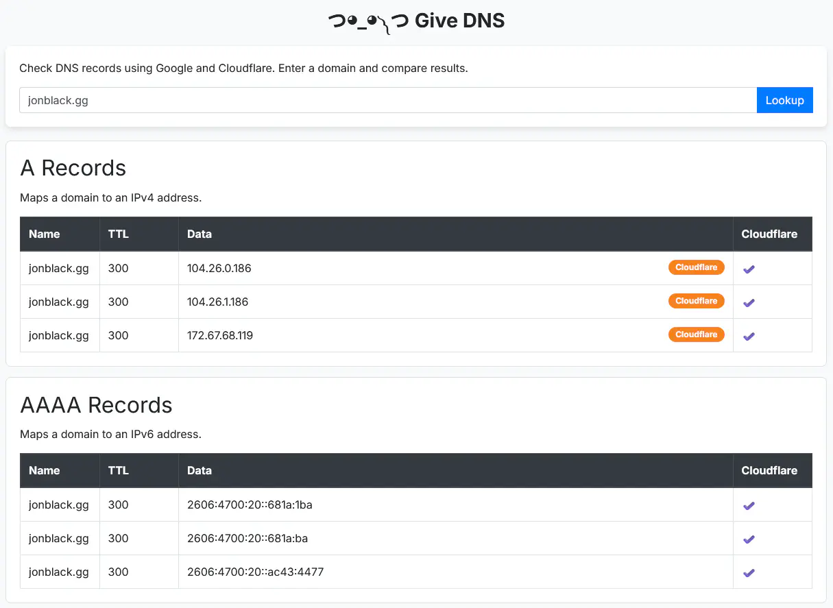 Screenshot of the completed DNS lookup tool showing the clean interface and DNS query functionality
